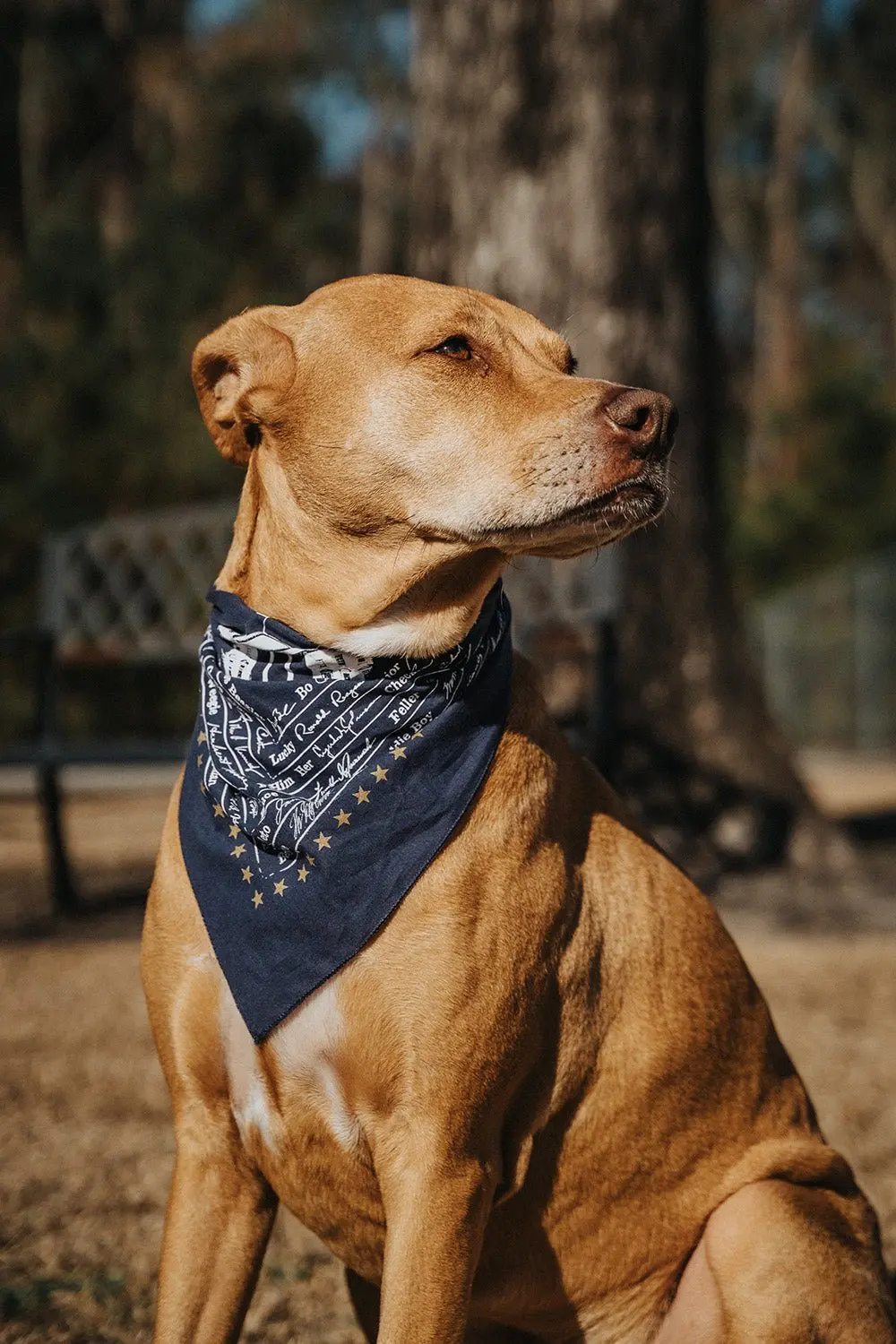 Presidential Pups Bandana — Made In The Usa 1